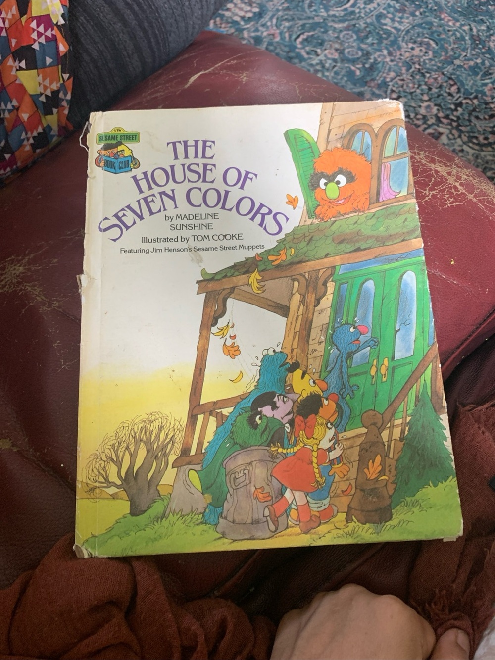 Vtg Sesame Street Book THE HOUSE OF SEVEN 7 COLORS - Madeline Sunshine - 1985